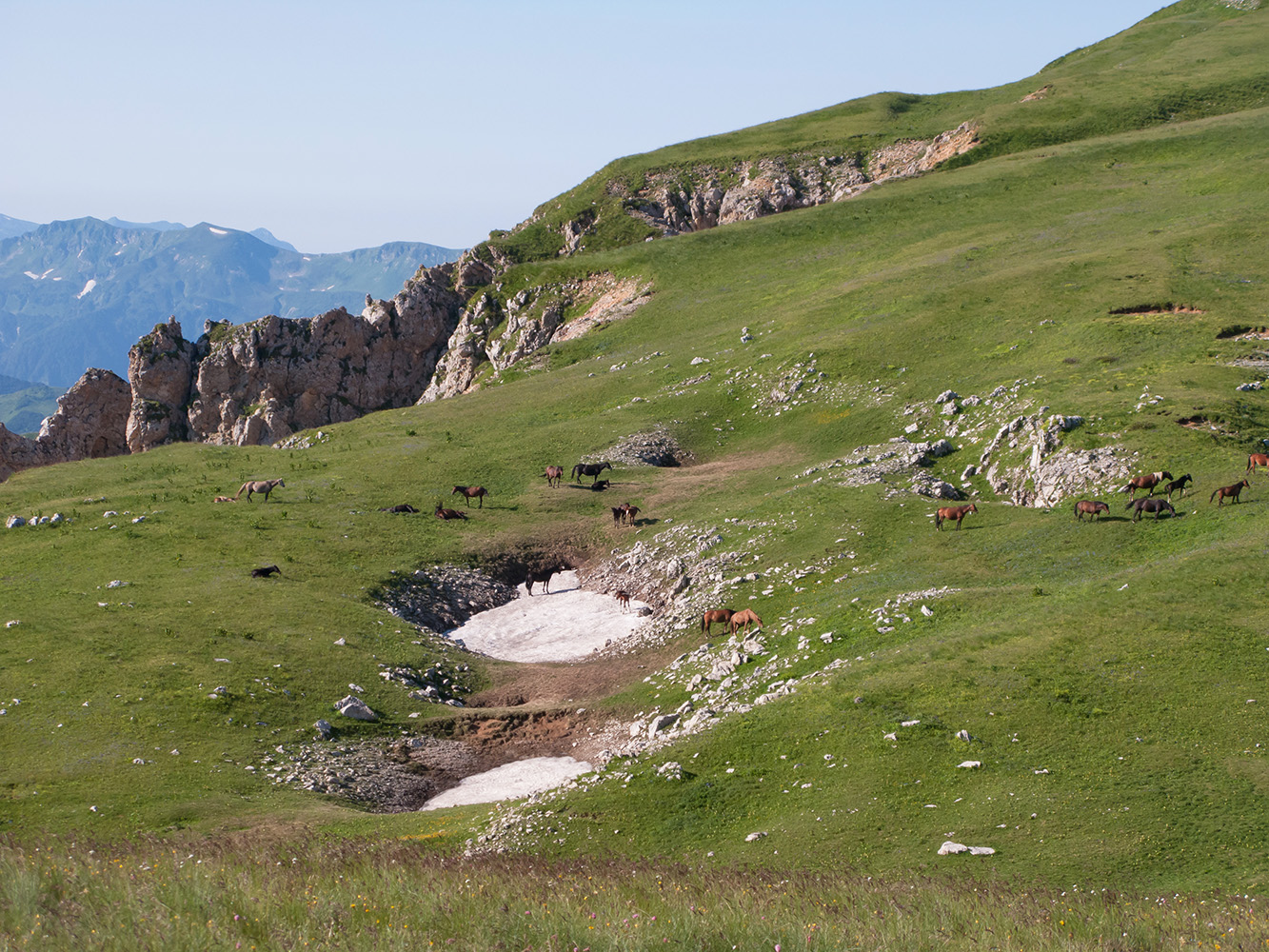 Блям, image of landscape/habitat.