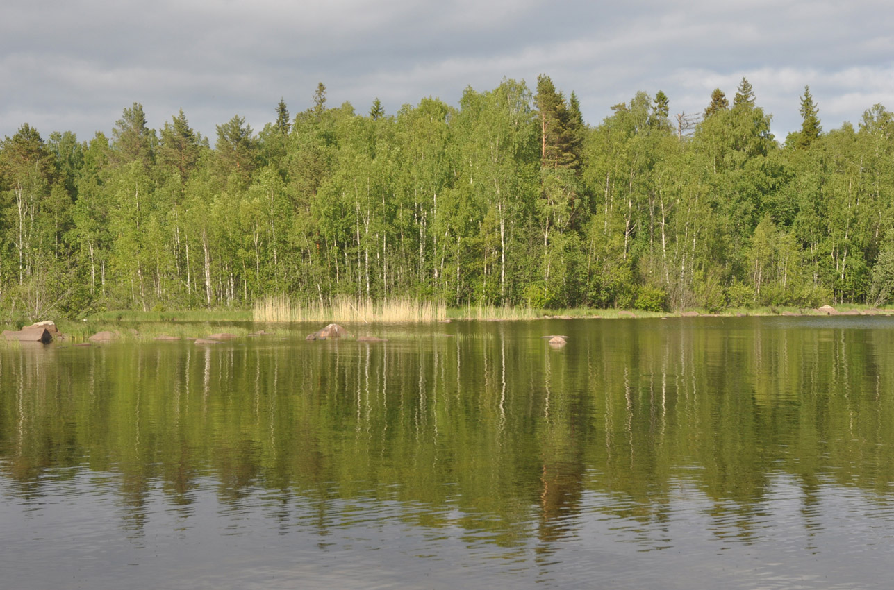 Валаам, image of landscape/habitat.