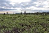 Image of landscape