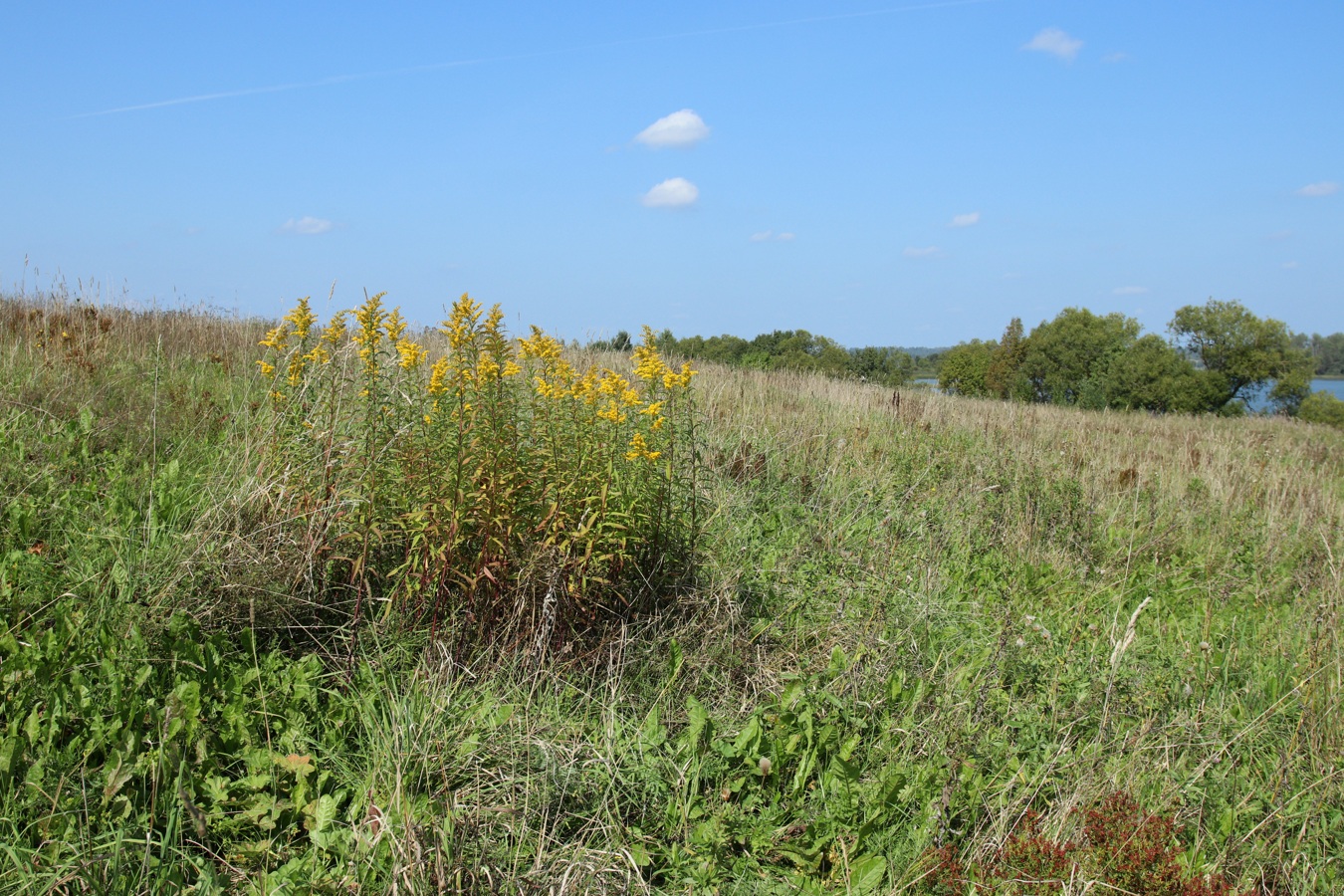 Езерище и окрестности, image of landscape/habitat.