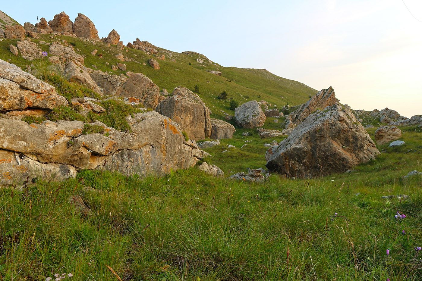 Малый Бермамыт, image of landscape/habitat.