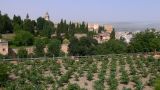 Image of landscape