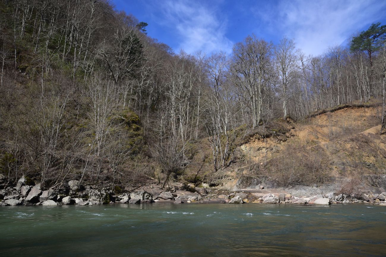 Устье ручья Сибирь и окрестности, image of landscape/habitat.