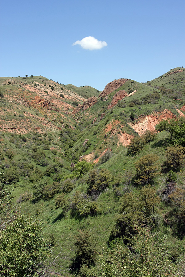 Ущелье Кызылбулак, image of landscape/habitat.