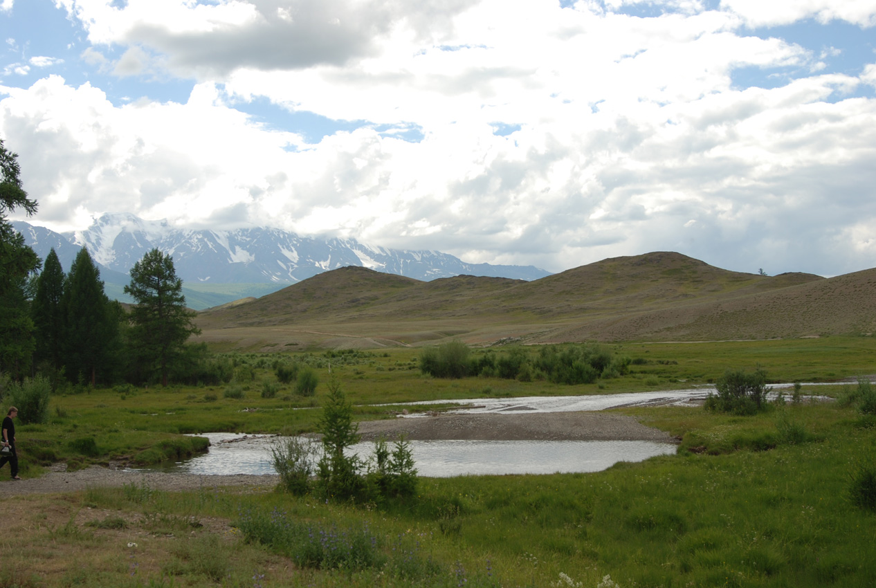 Долина реки Тюте, image of landscape/habitat.