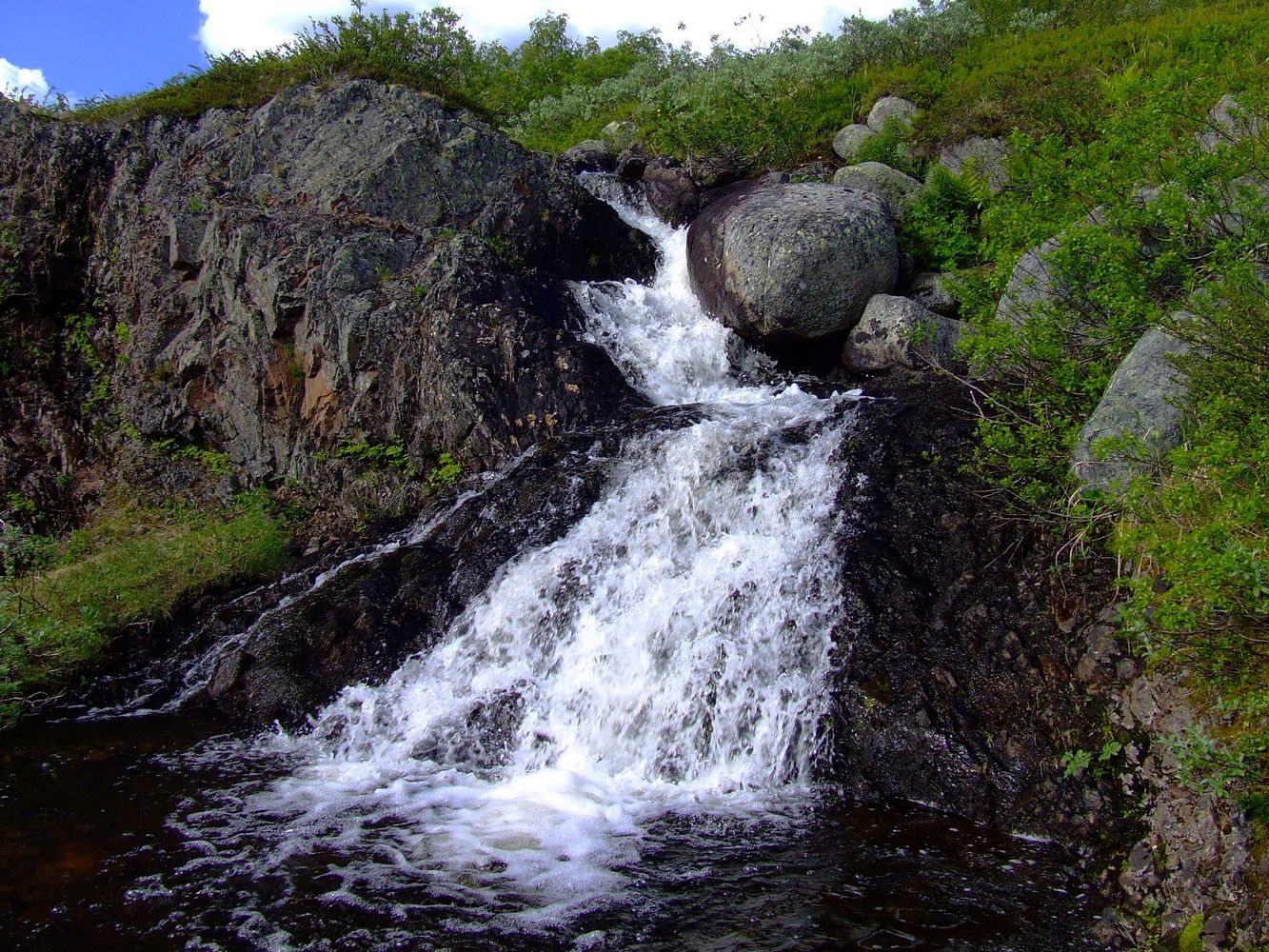 Столбовое озеро, image of landscape/habitat.