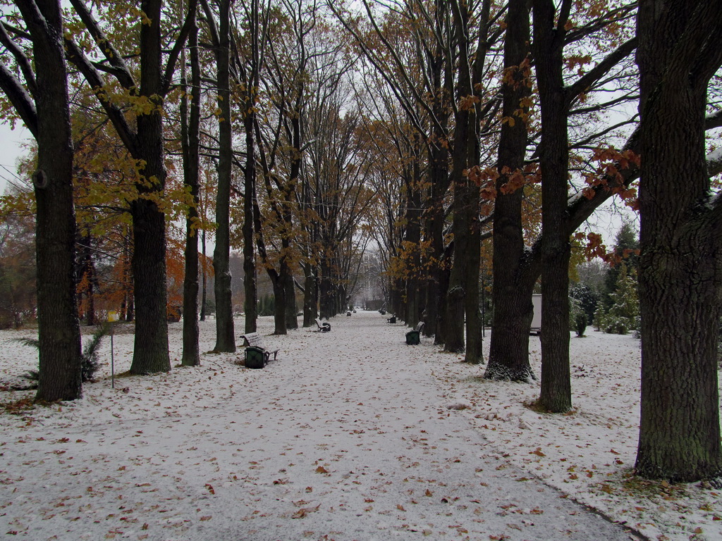Минск, Ботанический сад, image of landscape/habitat.