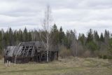 Большое Каринское Болото, image of landscape/habitat.