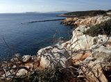 Image of landscape
