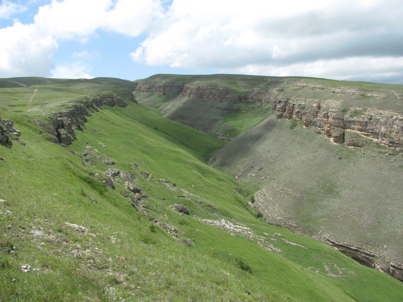 Леваши, image of landscape/habitat.