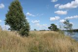 Image of landscape