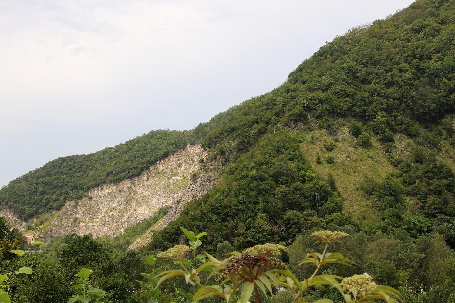 Цандрипш, image of landscape/habitat.