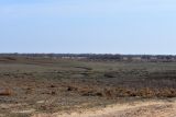 Дельта (средняя зона), image of landscape/habitat.