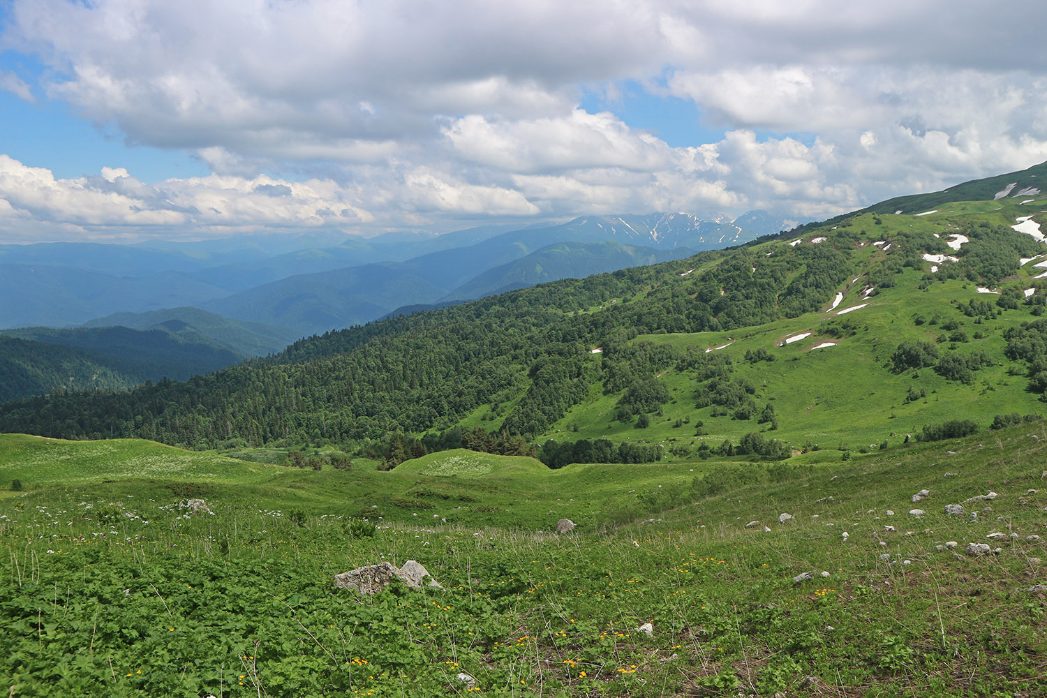 Юго-восточный отрог Оштена, image of landscape/habitat.