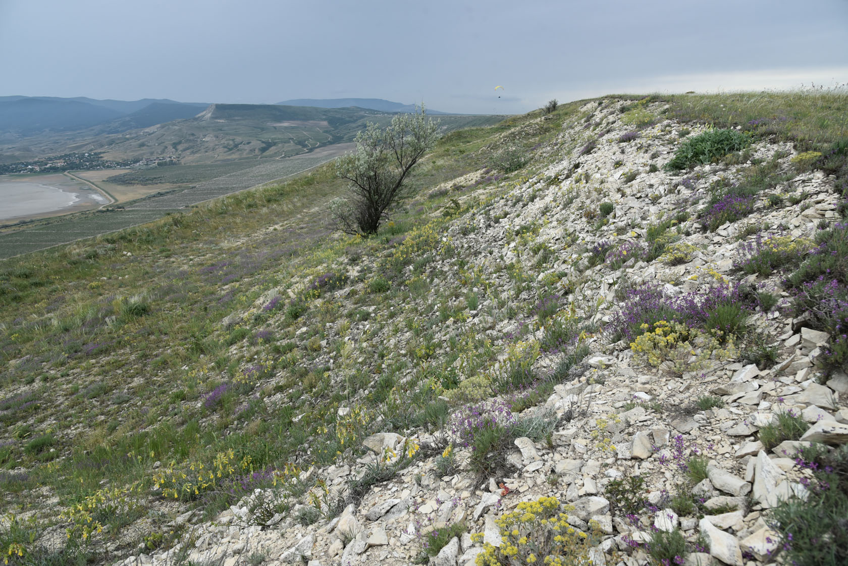 Узун-Сырт, image of landscape/habitat.