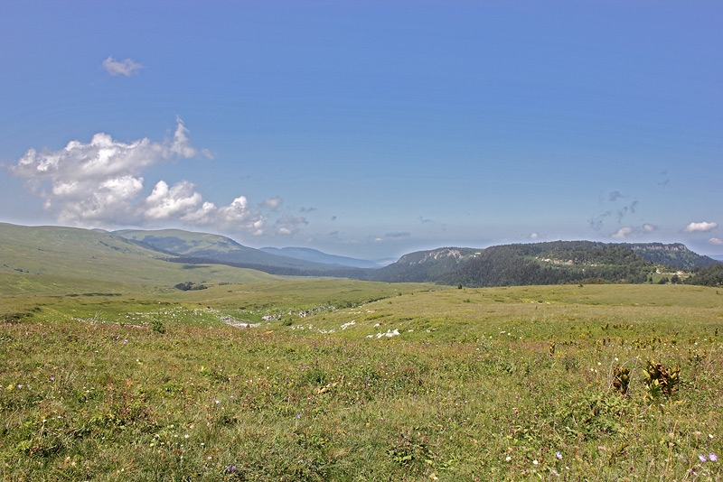 Плато Лаго-Наки, изображение ландшафта.