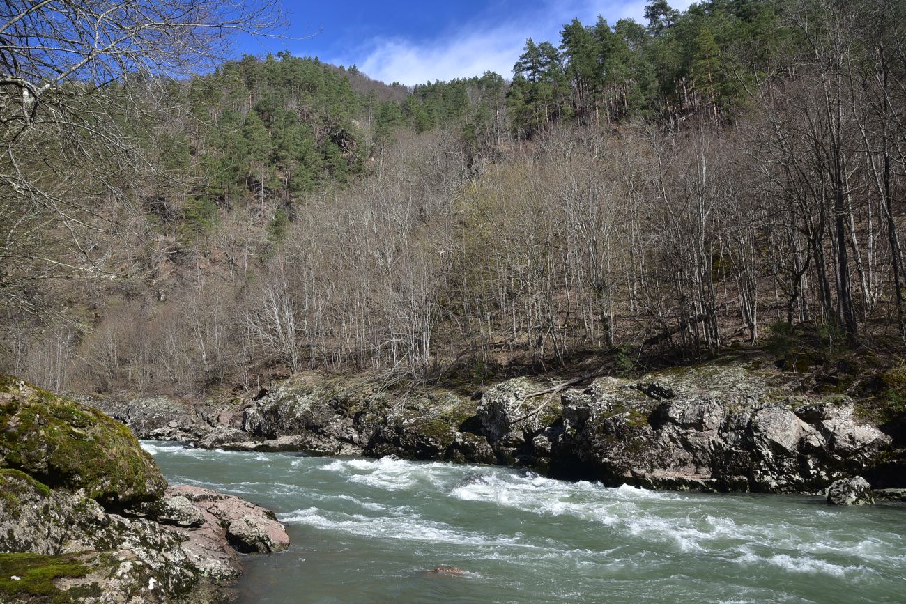 Урочище Блокгауз, image of landscape/habitat.