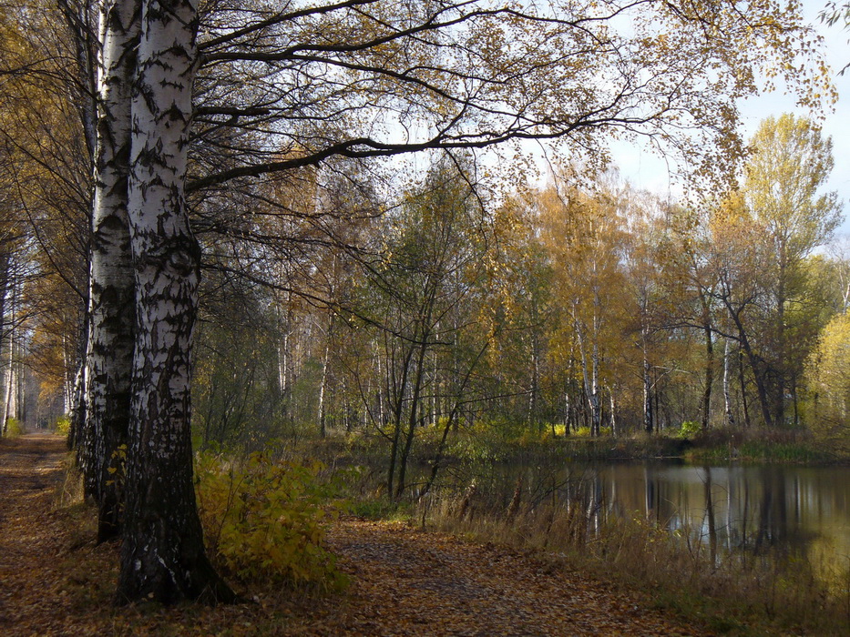 Петропавловский парк, изображение ландшафта.