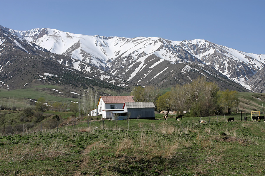 Домик Тризны, image of landscape/habitat.