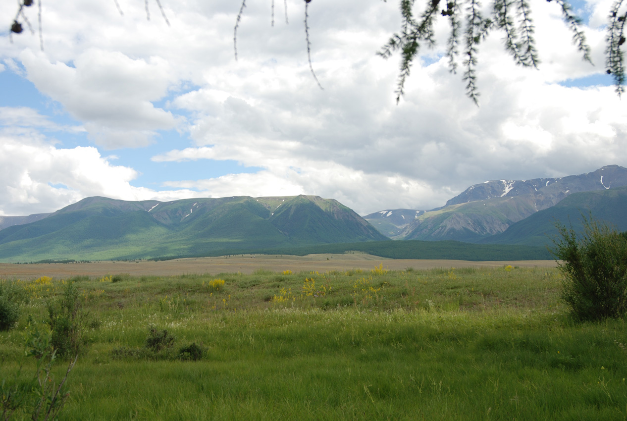 Долина реки Тюте, image of landscape/habitat.