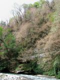 Image of landscape