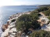 Image of landscape