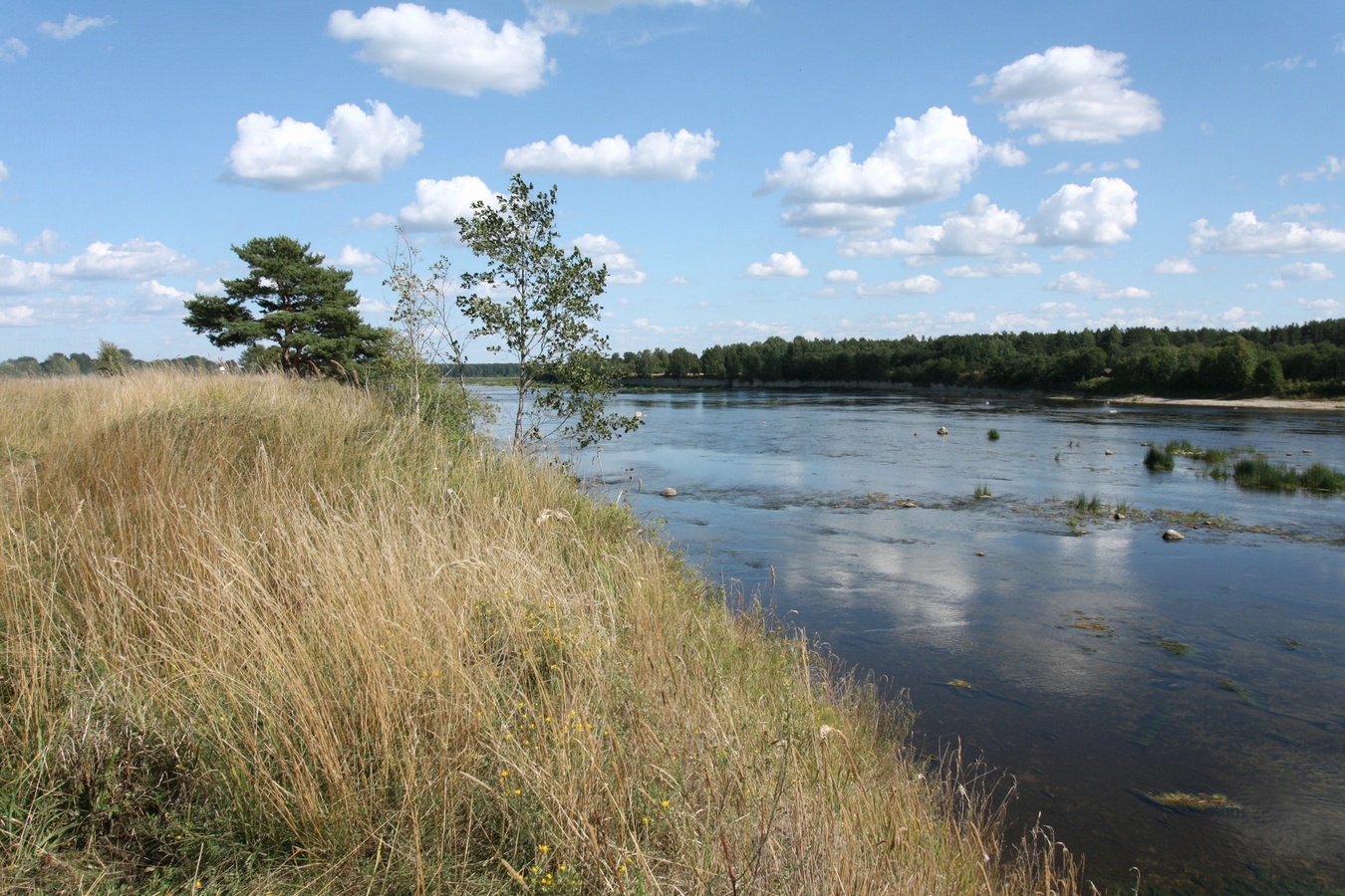 Выбуты, image of landscape/habitat.