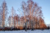 Поселок Юго-Камский, изображение ландшафта.