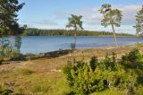 Image of landscape