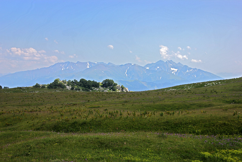 Плато Лаго-Наки, image of landscape/habitat.