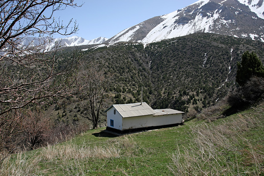 Домик Тризны, image of landscape/habitat.