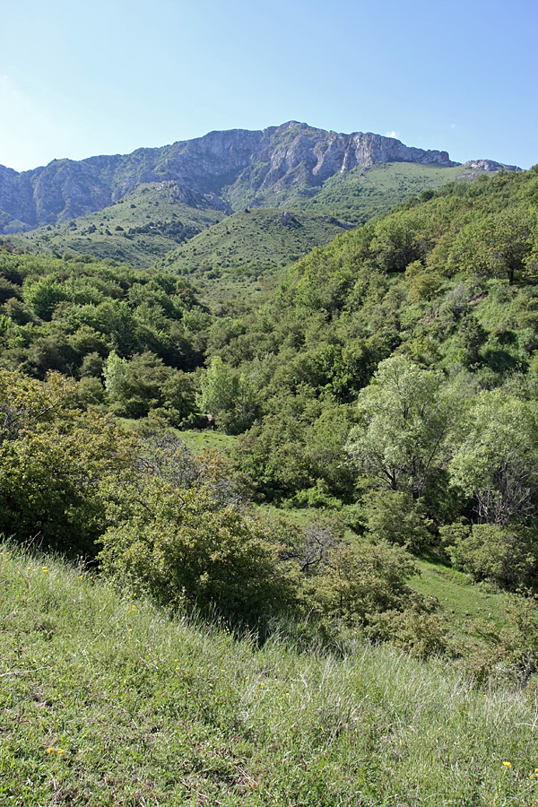 Ущелье Кызылбулак, image of landscape/habitat.