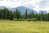 Долина реки Тюте, image of landscape/habitat.