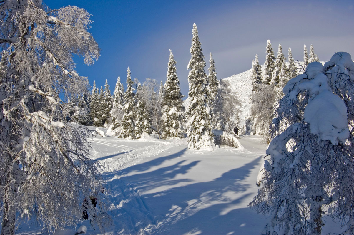 Окрестности горы Поперечная, image of landscape/habitat.