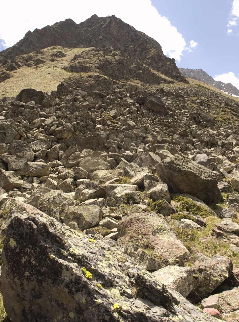 Долина реки Сылтрансу, image of landscape/habitat.