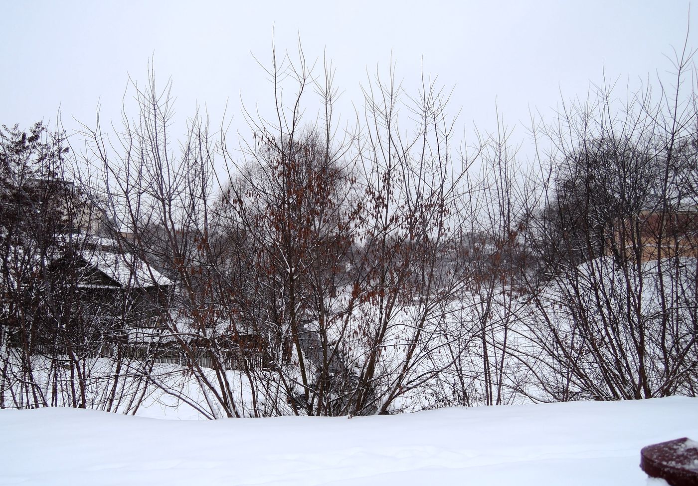 Гродно, image of landscape/habitat.