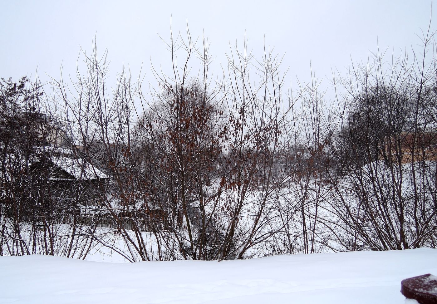 Гродно, изображение ландшафта.