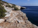 Image of landscape