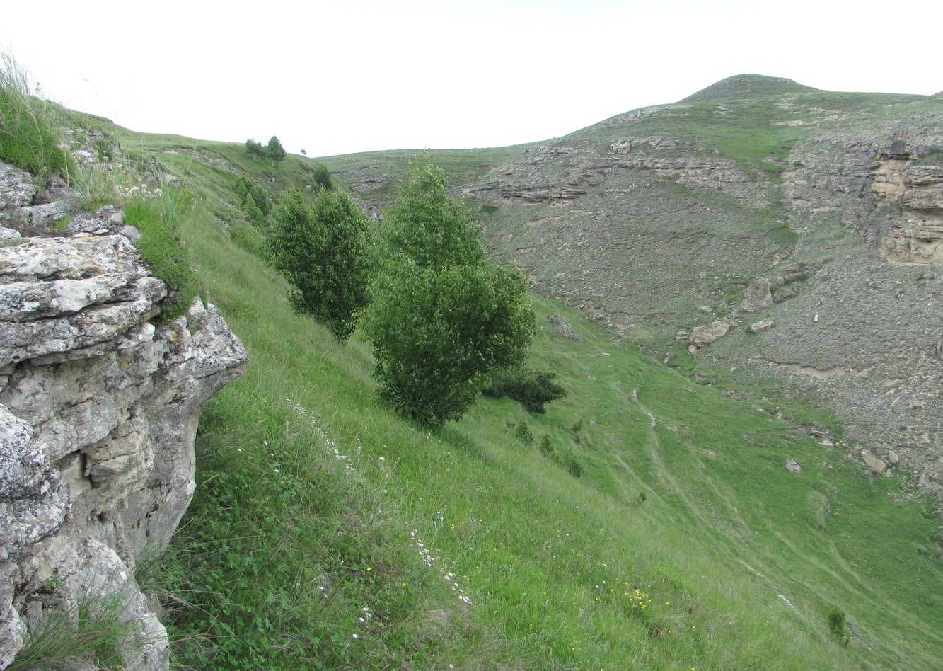 Леваши, image of landscape/habitat.