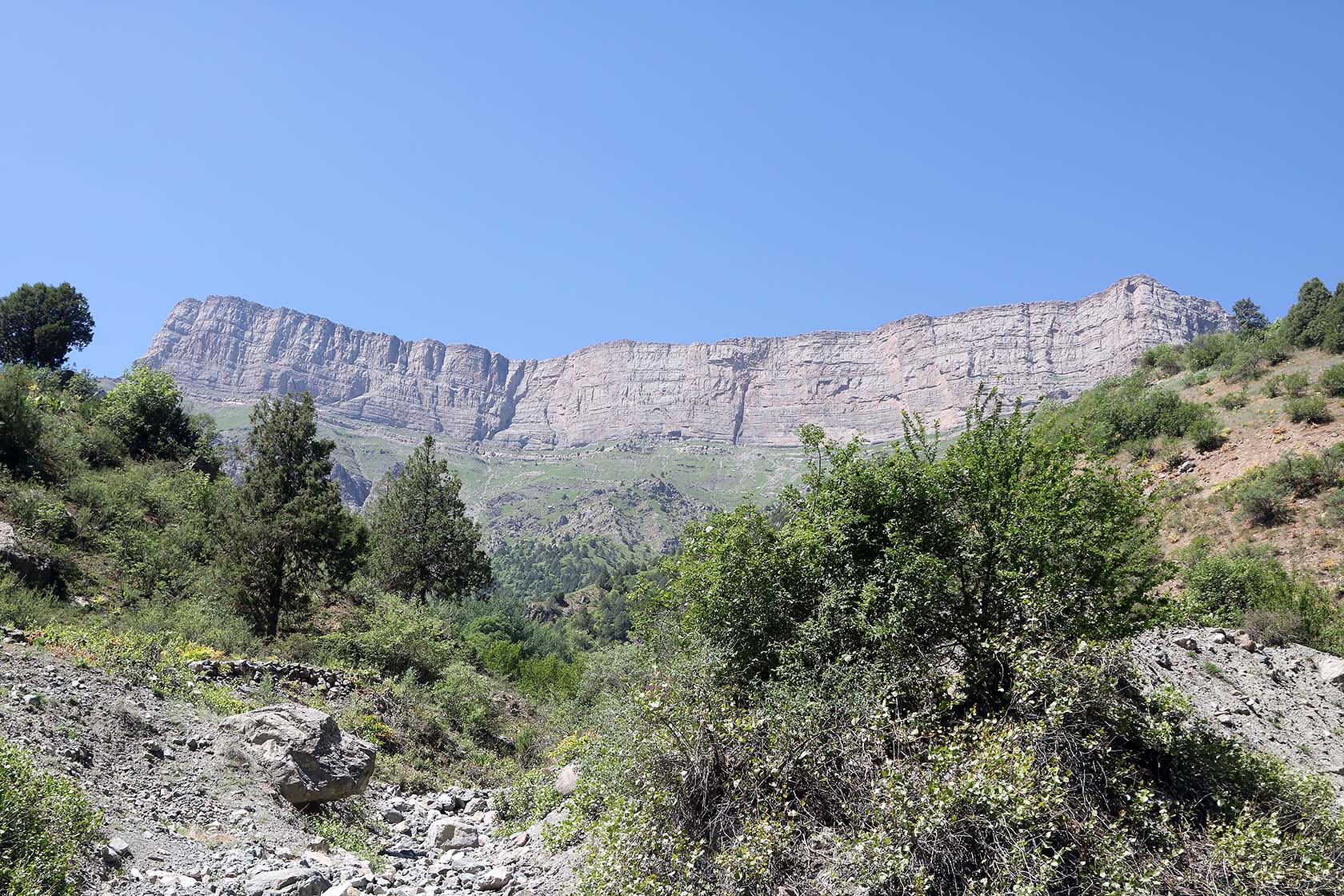 Окрестности кишлака Бахча, image of landscape/habitat.