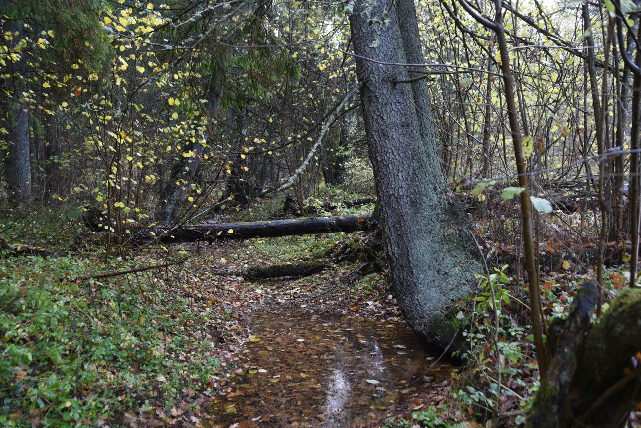 Окрестности Чёртового оврага, image of landscape/habitat.