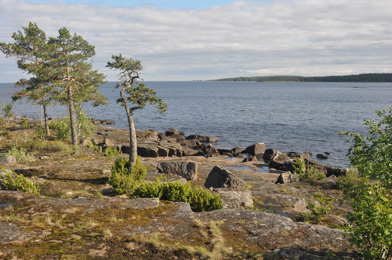 Валаам, image of landscape/habitat.