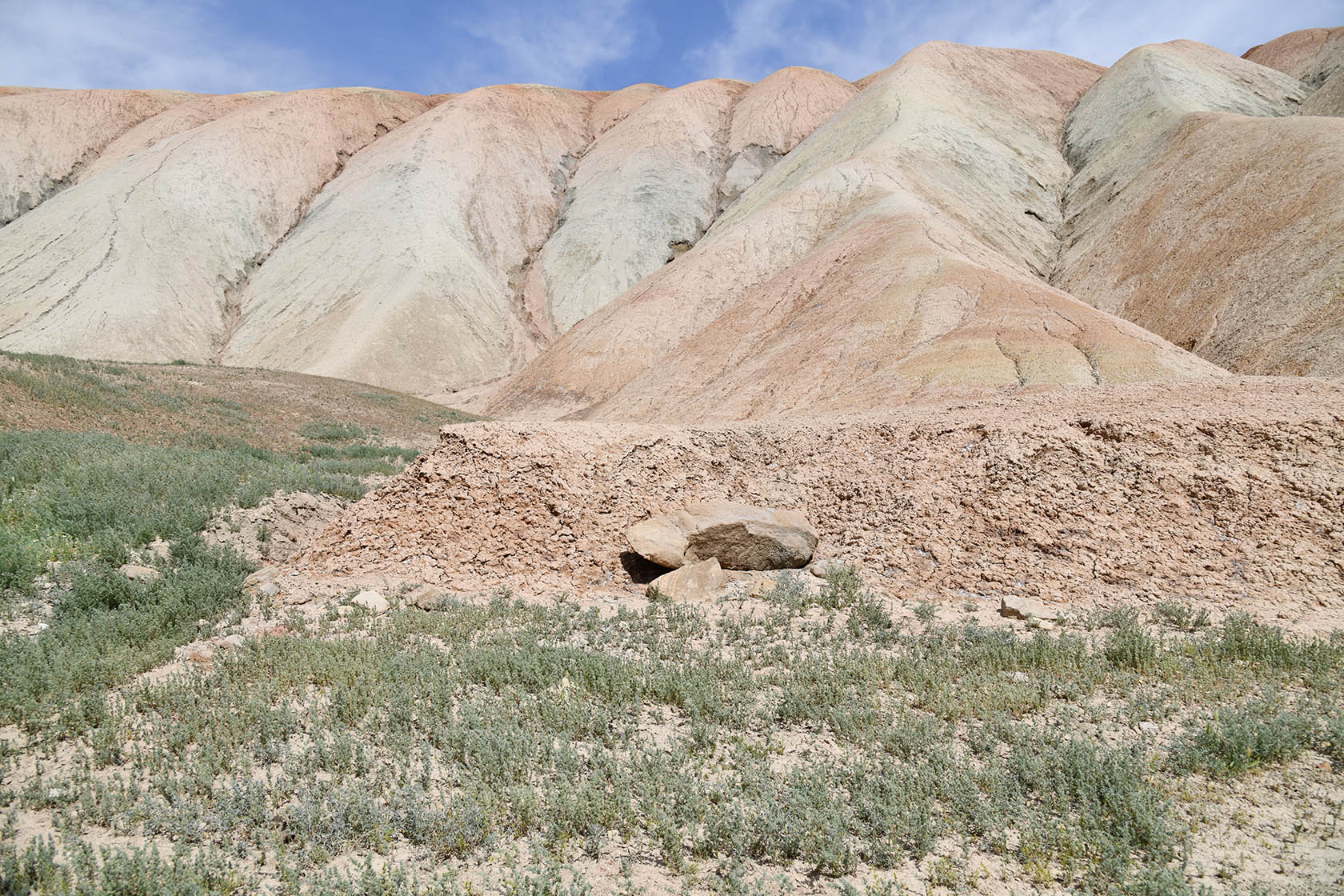 Перевал Дандан-Чикан, image of landscape/habitat.