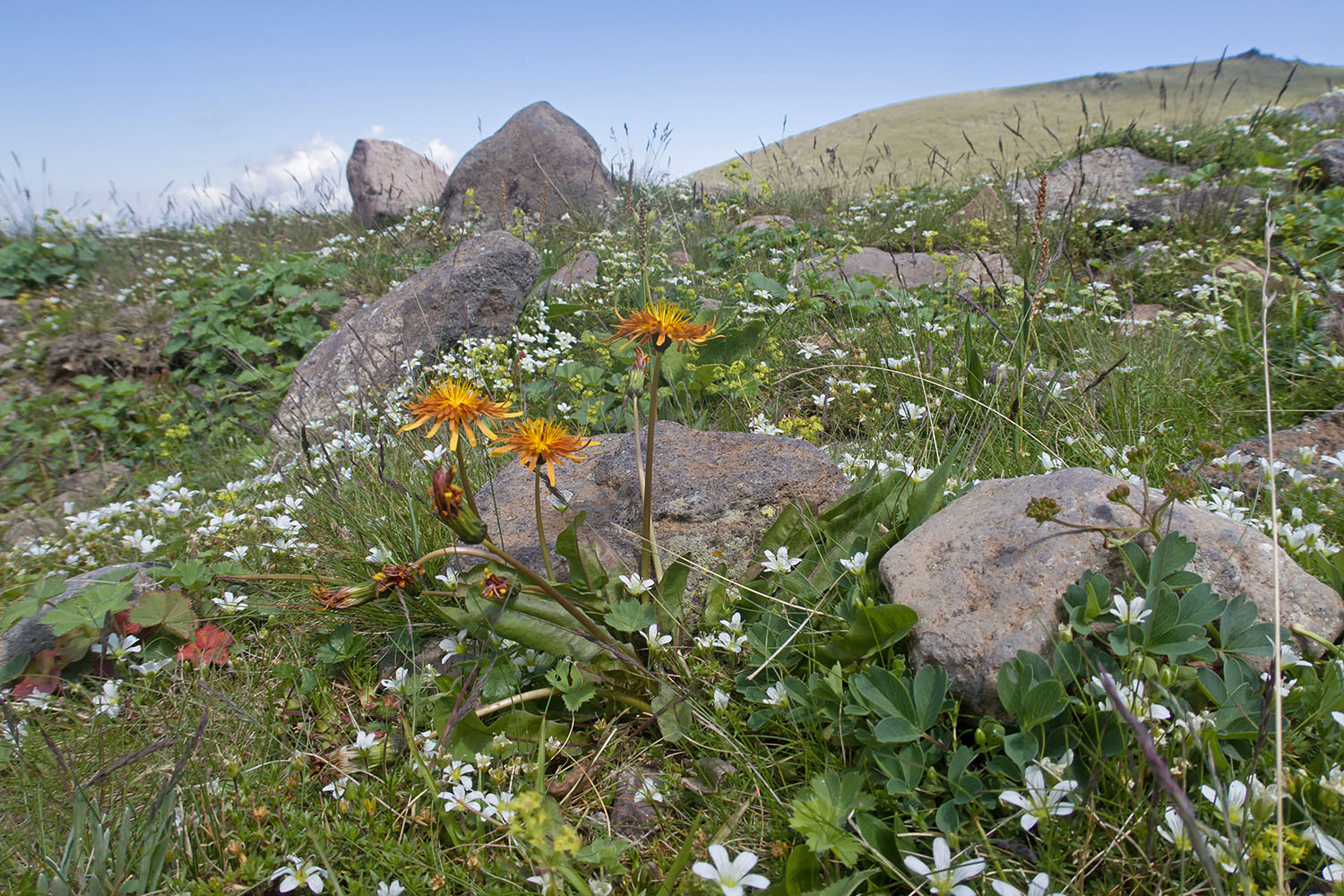 Чегетджара, image of landscape/habitat.