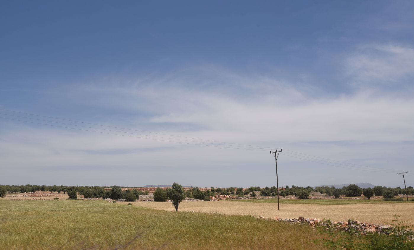 Анытлы (Хах), image of landscape/habitat.