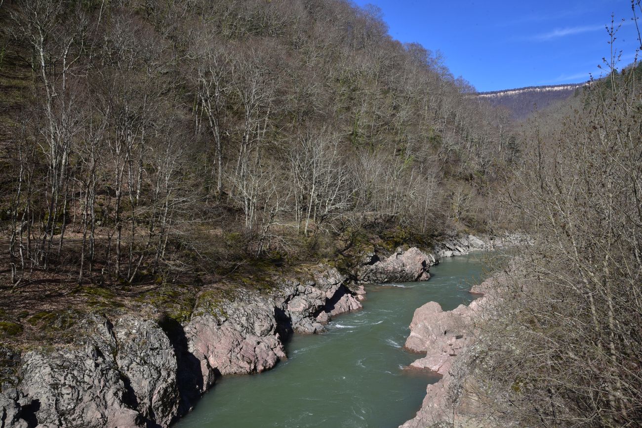Урочище Блокгауз, image of landscape/habitat.