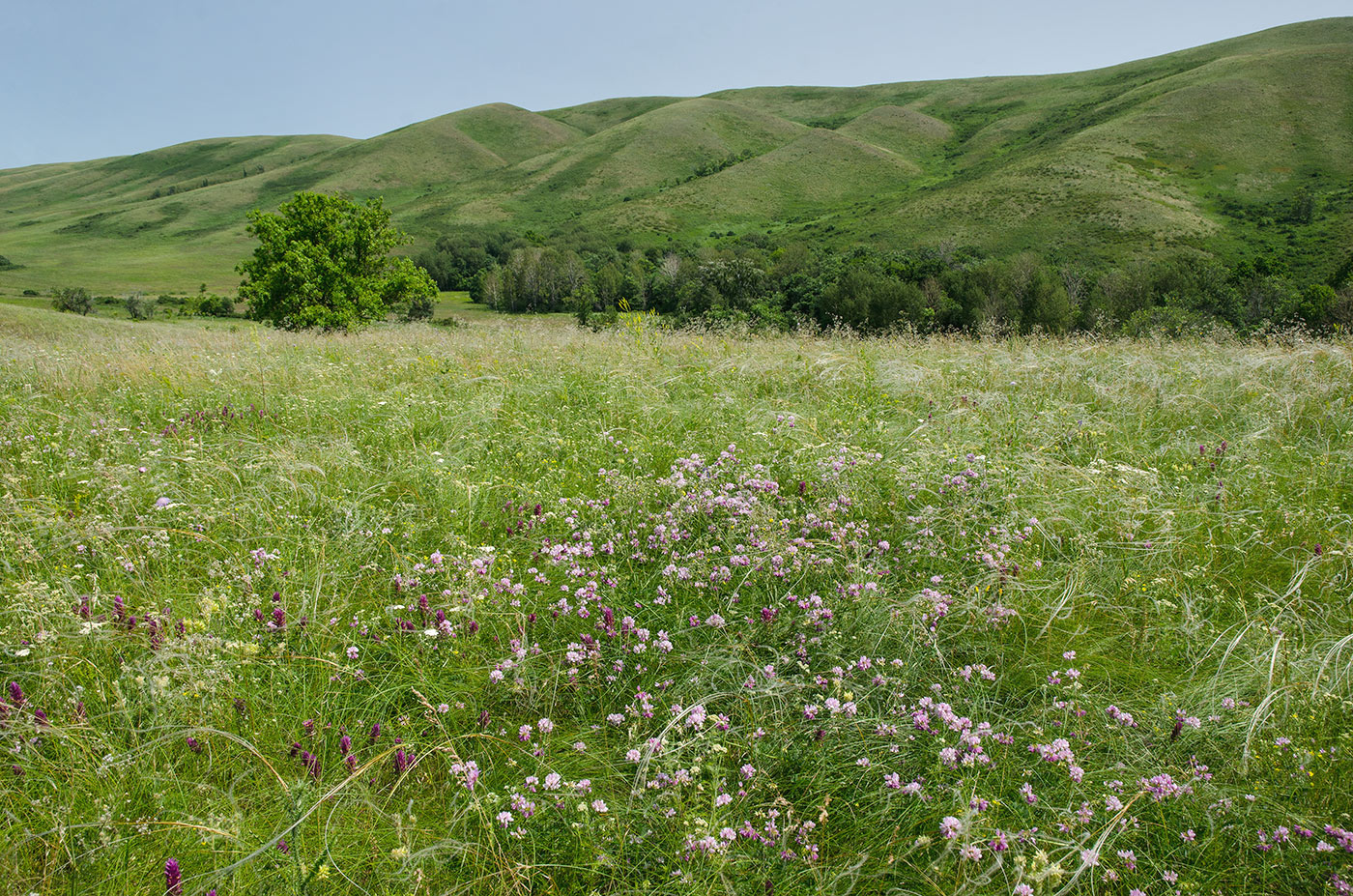 Султанбаево, image of landscape/habitat.