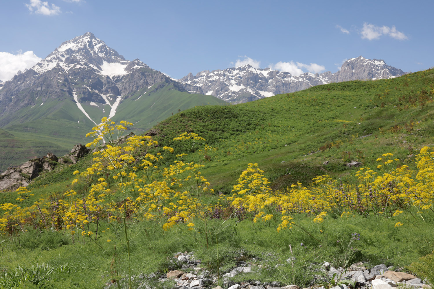 Сияку, image of landscape/habitat.
