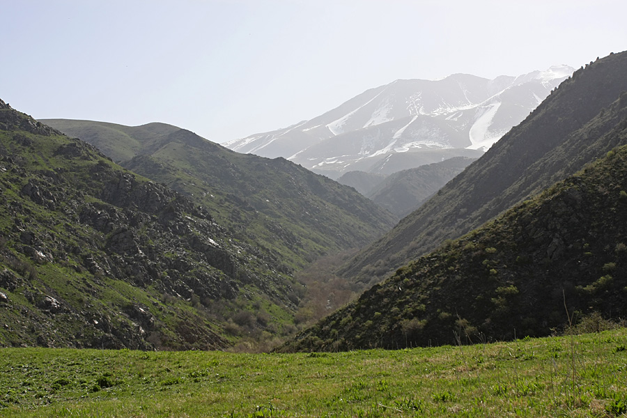 Домик Тризны, image of landscape/habitat.