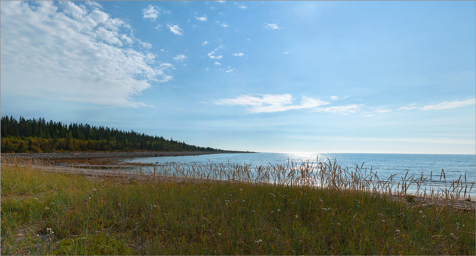 Мыс Носок, image of landscape/habitat.